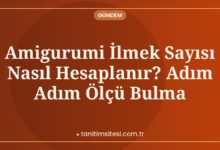 Amigurumi İlmek Sayısı Nasıl Hesaplanır? Adım Adım Ölçü Bulma Amigurumi İlmek Sayısı Nasıl Hesaplanır? Adım Adım Ölçü Bulma