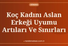 Koç Kadını Aslan Erkeği Uyumu Artıları Ve Sınırları