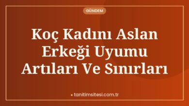Koç Kadını Aslan Erkeği Uyumu Artıları Ve Sınırları