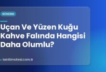Uçan Ve Yüzen Kuğu Kahve Falında Hangisi Daha Olumlu?