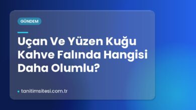 Uçan Ve Yüzen Kuğu Kahve Falında Hangisi Daha Olumlu? Uçan Ve Yüzen Kuğu Kahve Falında Hangisi Daha Olumlu?