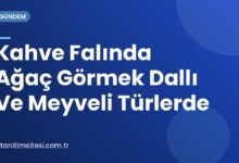 Kahve Falında Ağaç Görmek Dallı Ve Meyveli Türlerde