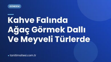 Kahve Falında Ağaç Görmek Dallı Ve Meyveli Türlerde