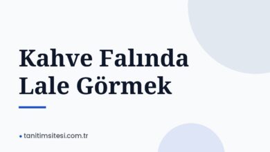 Kahve Falında Lale Görmek