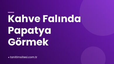 Kahve Falında Papatya Görmek