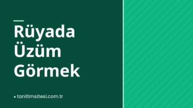 Rüyada Üzüm Görmek